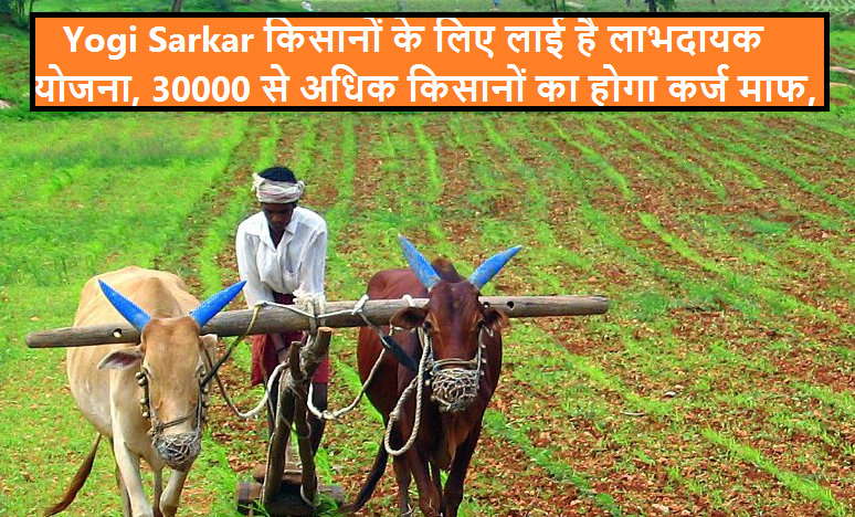 Yogi Sarkar किसानों के लिए लाई है लाभदायक योजना, 30000 से अधिक किसानों का होगा कर्ज माफ,